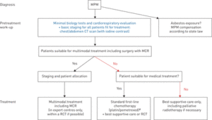 Ers Ests Eacts Estro Guidelines For The Management Of Malignant Pleural Mesothelioma European Respiratory Society